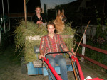 Wagen voll mit Heu